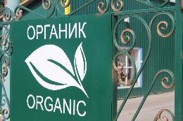 35 российских производителей органической продукции получили сертификаты соответствия с начала года